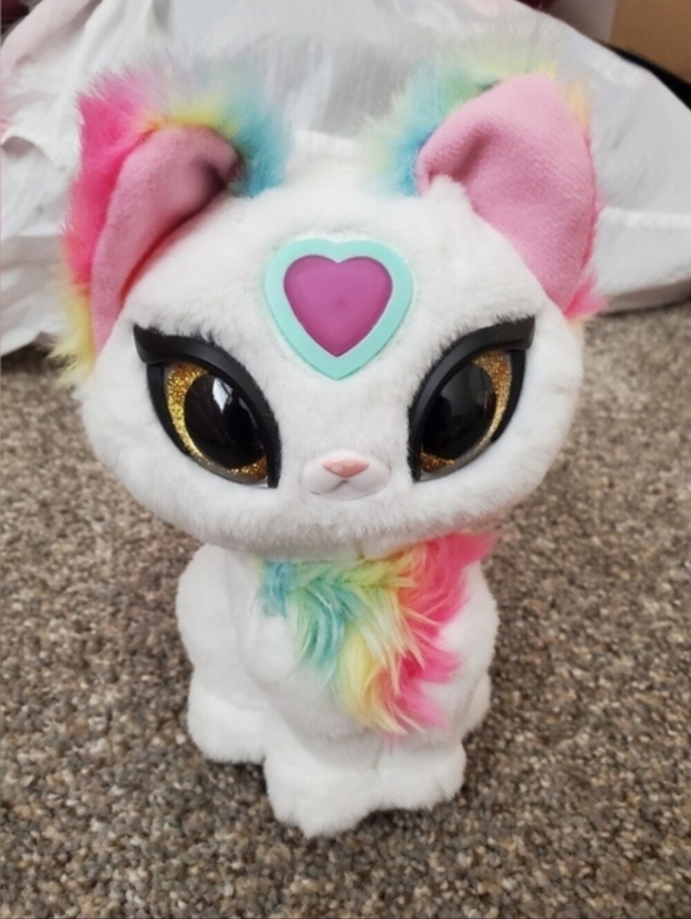 Magic Whispers Cat